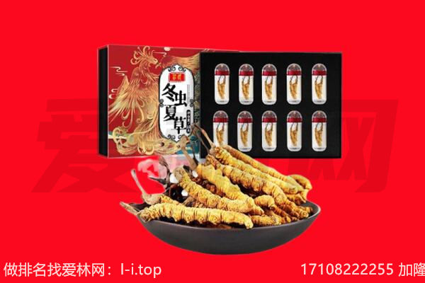 运城绛县回收虫草.jpg